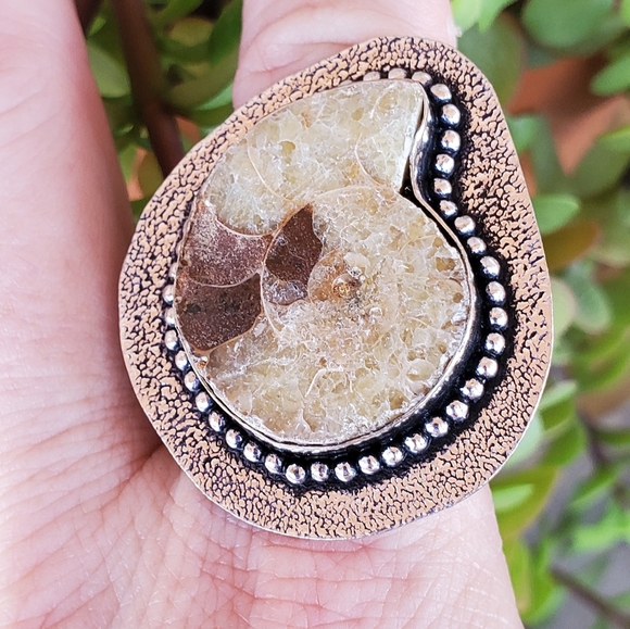 New Unique Oversized Ammonite 925 Silver Ring. - Picture 7 of 13